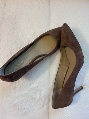 Ann Taylor Chocolate Brown Suede Pointed-Toe Stiletto Pumps